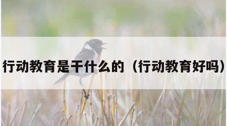 行动教育是干什么的（行动教育好吗）