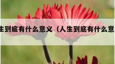 人生到底有什么意义（人生到底有什么意义?）