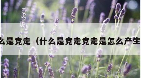 什么是竞走（什么是竞走竞走是怎么产生的）