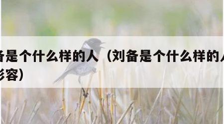 刘备是个什么样的人（刘备是个什么样的人怎么形容）