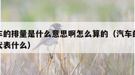 汽车的排量是什么意思啊怎么算的（汽车的排量代表什么）