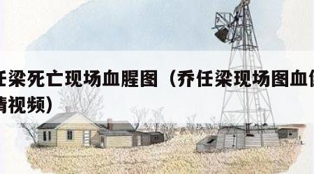 乔任梁死亡现场血腥图（乔任梁现场图血倒吊剧情视频）