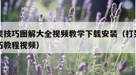 打架技巧图解大全视频教学下载安装（打架的技巧教程视频）