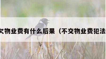 拖欠物业费有什么后果（不交物业费犯法吗）