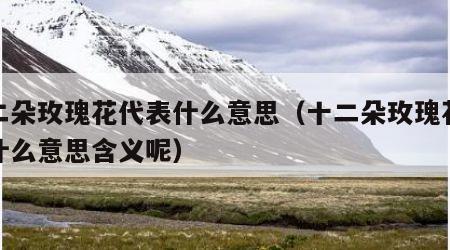 十二朵玫瑰花代表什么意思（十二朵玫瑰花代表什么意思含义呢）