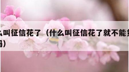 什么叫征信花了（什么叫征信花了就不能贷款了吗）