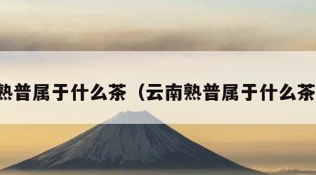 熟普属于什么茶（云南熟普属于什么茶）