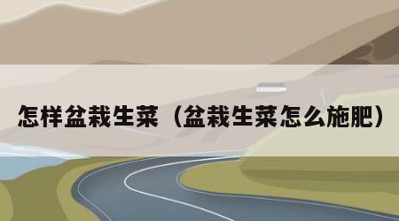 怎样盆栽生菜（盆栽生菜怎么施肥）