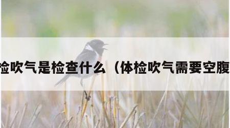 体检吹气是检查什么（体检吹气需要空腹吗）