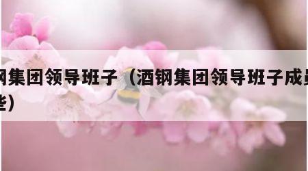 酒钢集团领导班子（酒钢集团领导班子成员有哪些）