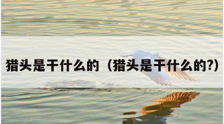 猎头是干什么的（猎头是干什么的?）