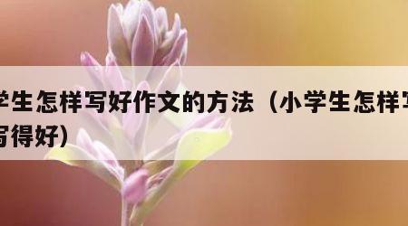 小学生怎样写好作文的方法（小学生怎样写作文写得好）