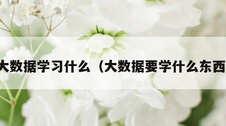 大数据学习什么（大数据要学什么东西）