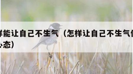 怎样能让自己不生气（怎样让自己不生气保持好心态）
