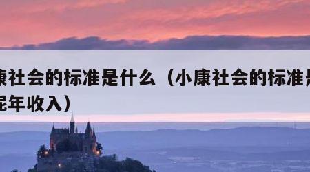 小康社会的标准是什么（小康社会的标准是什么呢年收入）