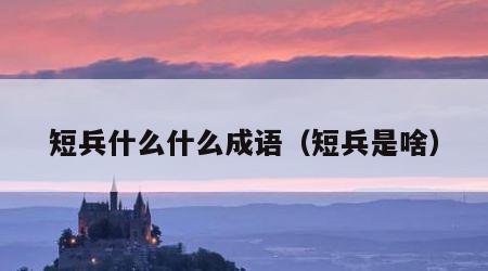 短兵什么什么成语（短兵是啥）