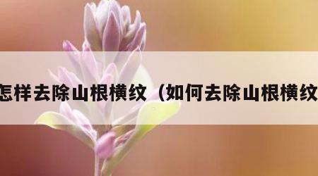 怎样去除山根横纹（如何去除山根横纹）