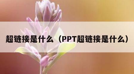超链接是什么（PPT超链接是什么）