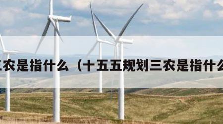 三农是指什么（十五五规划三农是指什么）