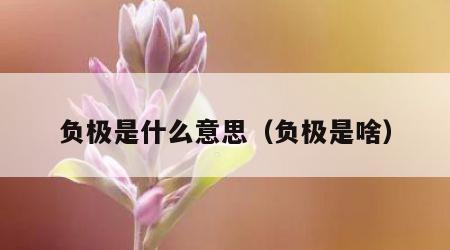 负极是什么意思（负极是啥）