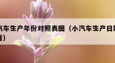 小汽车生产年份对照表图（小汽车生产日期在哪看）