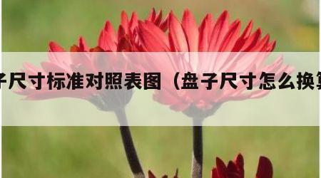 盘子尺寸标准对照表图（盘子尺寸怎么换算厘米）