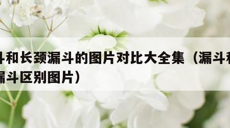漏斗和长颈漏斗的图片对比大全集（漏斗和长颈漏斗区别图片）