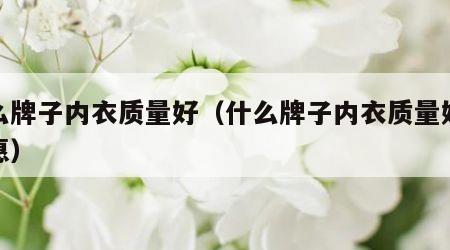 什么牌子内衣质量好（什么牌子内衣质量好又实惠）