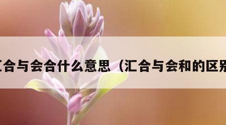 汇合与会合什么意思（汇合与会和的区别）