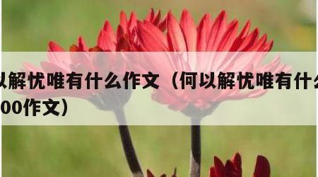 何以解忧唯有什么作文（何以解忧唯有什么作文300作文）