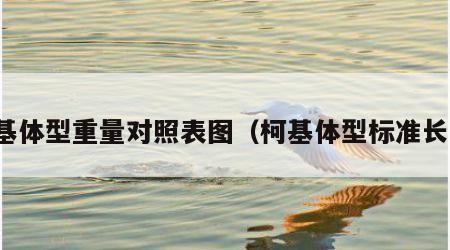 柯基体型重量对照表图（柯基体型标准长度）
