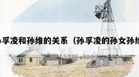 孙孚凌和孙维的关系（孙孚凌的孙女孙维）