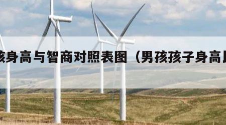 男孩身高与智商对照表图（男孩孩子身高比例）