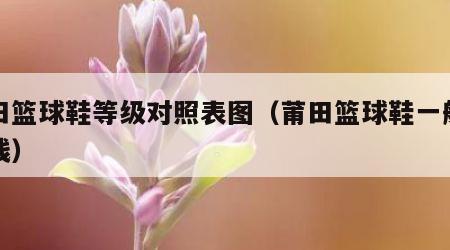 莆田篮球鞋等级对照表图（莆田篮球鞋一般多少钱）