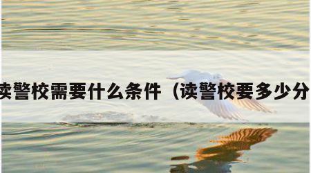 读警校需要什么条件（读警校要多少分）