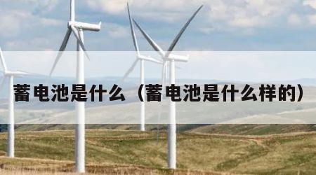 蓄电池是什么（蓄电池是什么样的）
