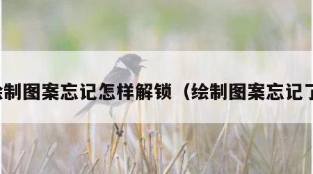 绘制图案忘记怎样解锁（绘制图案忘记了）