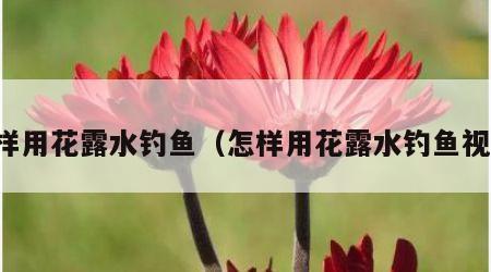 怎样用花露水钓鱼（怎样用花露水钓鱼视频）