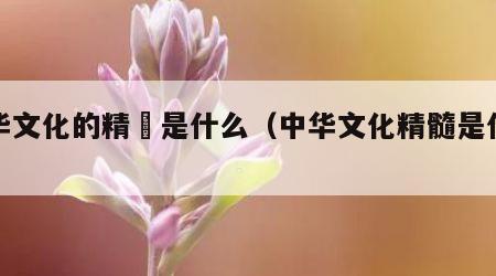 中华文化的精髄是什么（中华文化精髓是什么?）