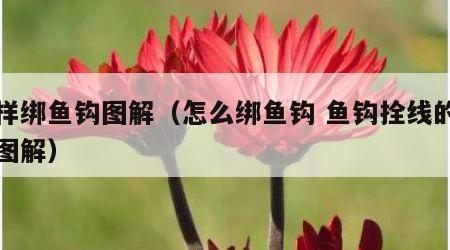 怎样绑鱼钩图解（怎么绑鱼钩 鱼钩拴线的方法图解）