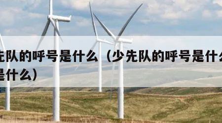 少先队的呼号是什么（少先队的呼号是什么回答是什么）