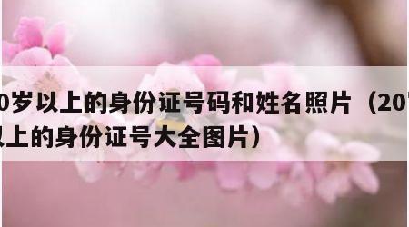 20岁以上的身份证号码和姓名照片（20岁以上的身份证号大全图片）
