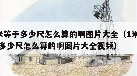 1米等于多少尺怎么算的啊图片大全（1米等于多少尺怎么算的啊图片大全视频）