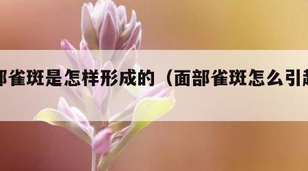 面部雀斑是怎样形成的（面部雀斑怎么引起的）