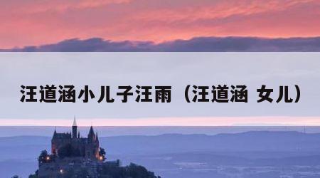汪道涵小儿子汪雨（汪道涵 女儿）