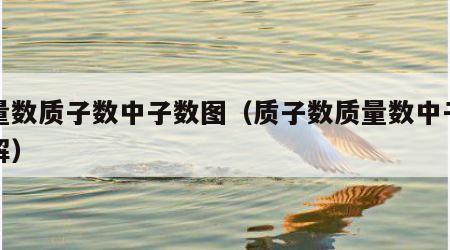 质量数质子数中子数图（质子数质量数中子数图解）