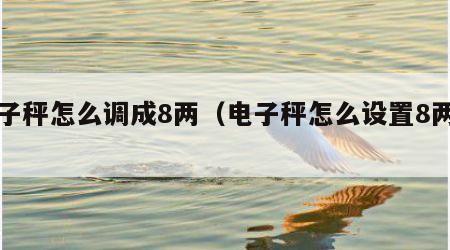 电子秤怎么调成8两（电子秤怎么设置8两秤）